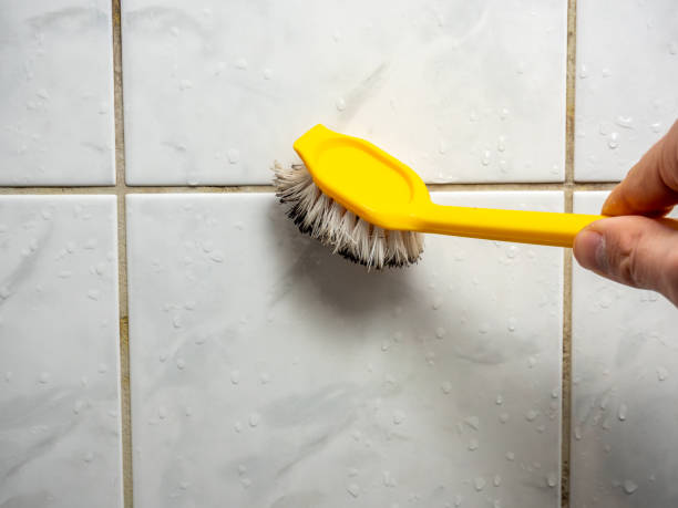 Best Home Mold Removal  in Westbrook, ME